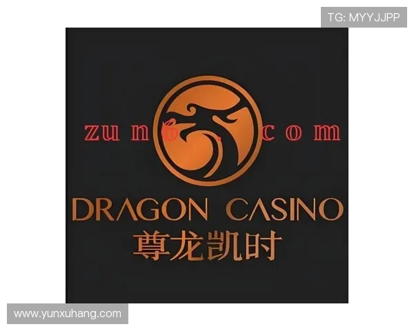 尊龙凯时手机版官网app常见问题解决方案与客服支持服务全攻略