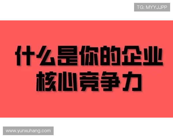 尊龙时凯中国集团人生官网：行业专家解读企业在市场中的竞争优势与发展策略