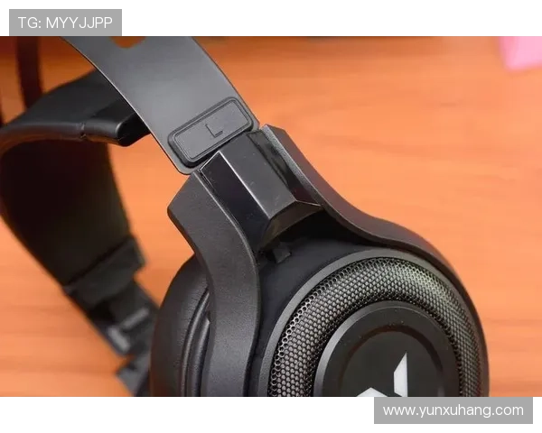 Z6尊龙旗舰厅登录线路优化升级方案，提升登录速度与游戏体验的实用技巧分享